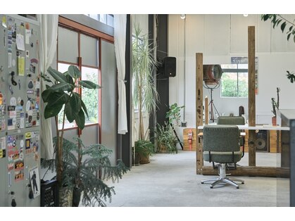 ダンコ(DANKO)の写真