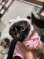 リドルヘアー 石井町店(Riddle HAIR) 猫、飼ってます!折れ尾ちゃん(女子)