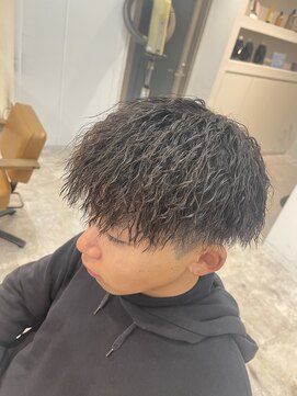 ハレケメリディッシュ(HAREKE meridish) 針金ツイスパ