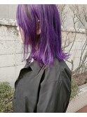 パープルミディアムレイヤー