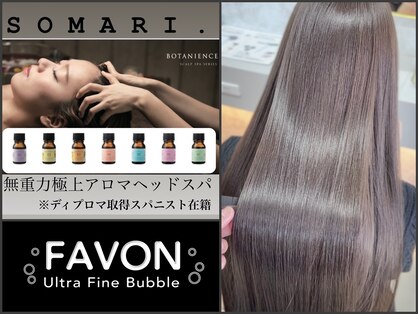 ソマリ(SOMARI.)の写真