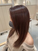 シダ(sida)&nbsp;【sida 保住】艶々レッドブラウン