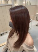 【sida 保住】艶々レッドブラウン