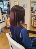 秋COLOR★Dr.ラベンダーベージュ