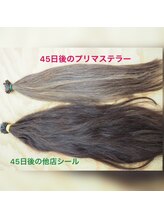 ★TNBTOKYOの使用する最高級のプリマステラーの45日後の毛束と他サロン様の45日後の毛束との経過比較です。