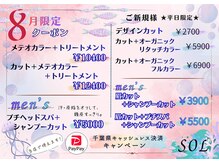 ソル(sol)