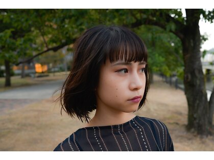 バイアス(biace)の写真
