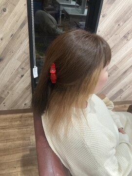 ルネッサンスヘアー ラファエロ(RAFFAELLO) インナーライトナーカラー