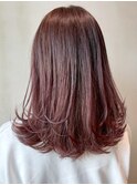 カシスベージュ_ミニウルフテラコッタくすみブルー_ba339211