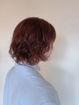 ペッツ(PETZ) 楽ちんパーマ