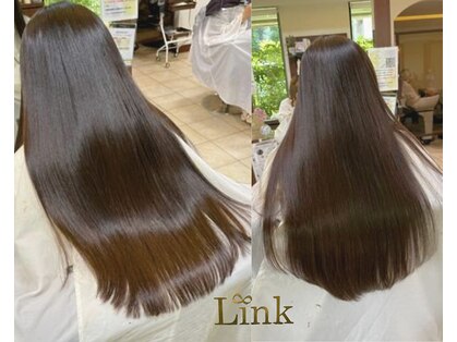 リンク(Link)の写真