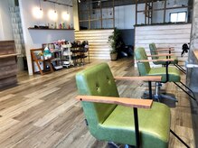 マトリカリア(Matricaria)