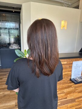 ヴァン カウンシル 王子(VAN COUNCIL) 夏の似合わせ美肌カラー 髪質改善Tr ハイライト/ブラウン#1