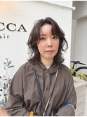 ミニウルフ万能ウルフミディ