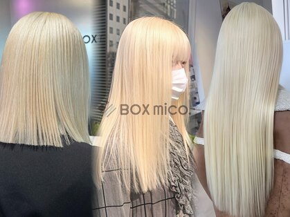 ボックスミコ(Box mico.)の写真