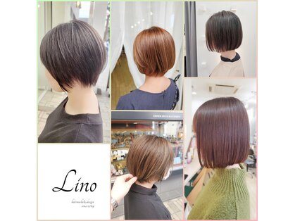 リノ(Lino)の写真