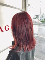 アルジャーノン(algernon)&nbsp;レッドヘア