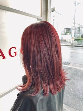 アルジャーノン(algernon) レッドヘア