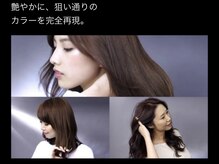 ファッションカラーとグレイカラーの垣根を排除