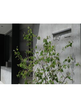 地域エリア唯一ヘッドスパ専門店「Ley headspa」スタッフ全員ヘッドスパニストディプロマ習得