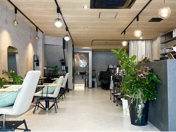 HAILEY 【ヘイリー】