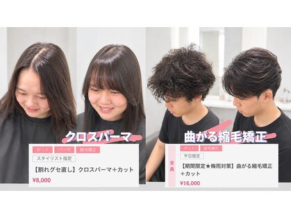 スイ(suiw)の写真