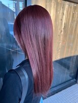 ネリネ(Nerine)&nbsp;バイオレット