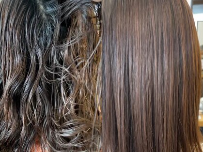 パインズループ(PINES LOOP)の写真