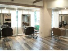 銀座美容室 スウィップ(Swip)の雰囲気（暖かい陽の差し込む緑に包まれた広々とした清潔感のある店内）