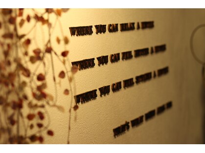 モク(MOKU)の写真