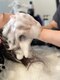 サロンアピス(salon APIS)の写真/【極上ヘッドスパ】髪や頭皮の汚れを取り除き、髪本来の美しさを取り戻す。日頃の疲れを癒す贅沢な時間を♪