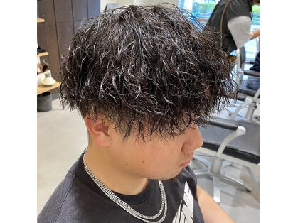 ラッシュ ポエ(rush po'e)の写真