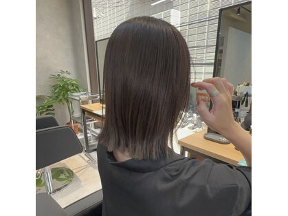 ズッカ(ZuKKa)の写真