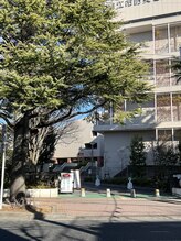 ココベース/狛江市役所