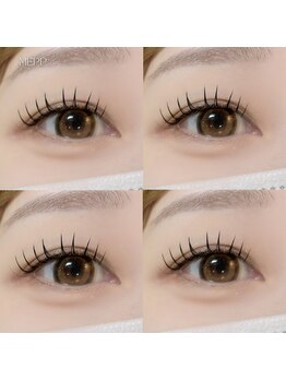 ミイプ(MEPP)/つねいし担当＊フラットラッシュ