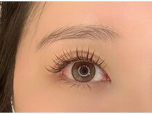 ロットネスト(ROTTNEST)/ボリュームハーフラッシュ