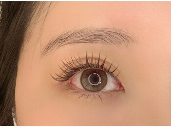 ロットネスト(ROTTNEST)/ボリュームハーフラッシュ