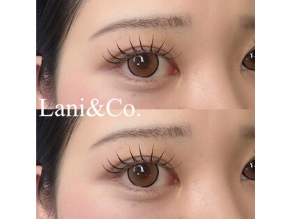 ラニ(Lani)の写真