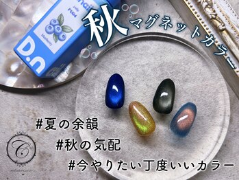 セリシール(Cericier)/【パラジェル】寒色秋マグネット