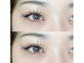 シクラプ(siklap)/束コーティング/下まつげ20本