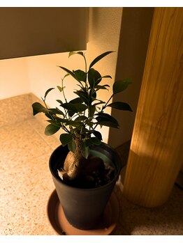 澪樹(mijyu)/非日常空間