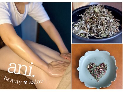 アニドット(ani.)の写真