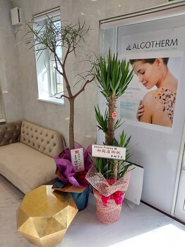 アマナプラーナ(Amana Praana)/10／27 OPEN