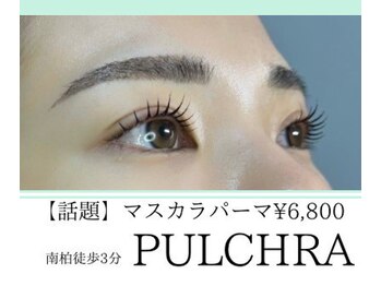 プルクラ(PULCHRA)