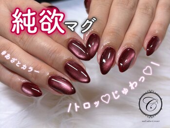 セリシール(Cericier)/【パラジェル】純欲マグネット♪