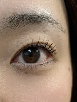 セレブリティ/次世代まつ毛パーマ