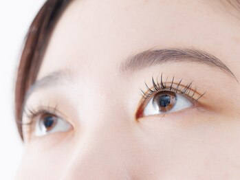 フォレスト(Forest)/