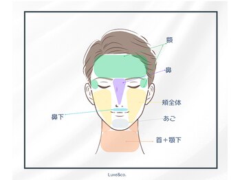 リュクスアンドコー 上田店(Luxe&co.)/お顔の部位詳細