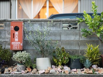 おかがわ鍼灸院/塀の前にはたくさんの植物たち