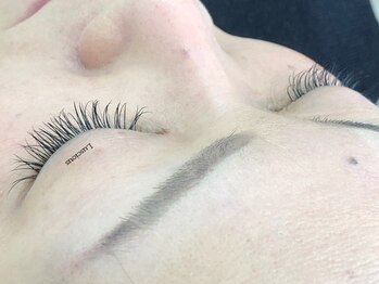 ラシェスキタモト (luscius kitamoto)/クラッシーセーブル120本